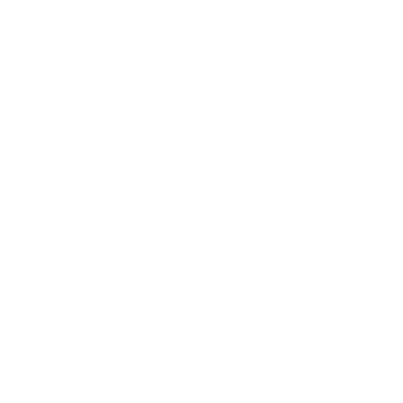 Recovery Defender Pro